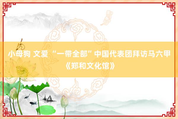 小母狗 文爱 “一带全部”中国代表团拜访马六甲《郑和文化馆》