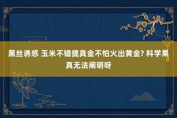 黑丝诱惑 玉米不错提真金不怕火出黄金? 科学果真无法阐明呀